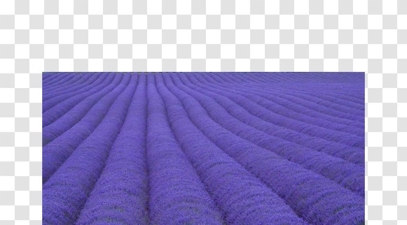Violet Textile - Purple - Spectacular Lavender Transparent PNG