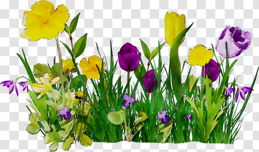 Flower Clip Art Spring Tulip - Viola - Wildflower Transparent PNG