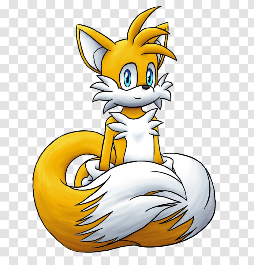 Whiskers Cat Red Fox Clip Art - Tail - Good Pal Transparent PNG