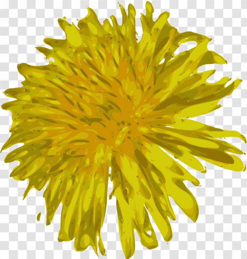 Dandelion Clip Art - Chrysanths Transparent PNG