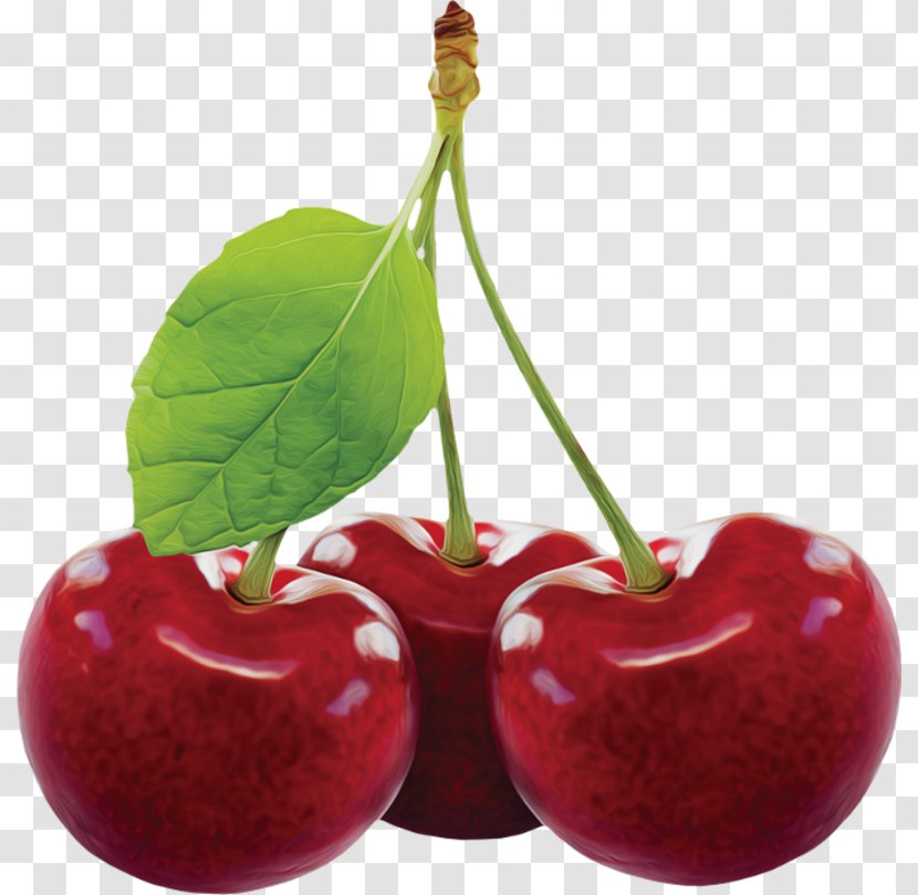 Black Cherry Clip Art Fruit - Malpighia Transparent PNG