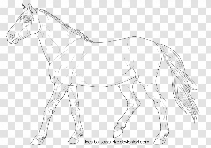 Mule Thoroughbred Foal Stallion Colt - Coloring Book Transparent PNG