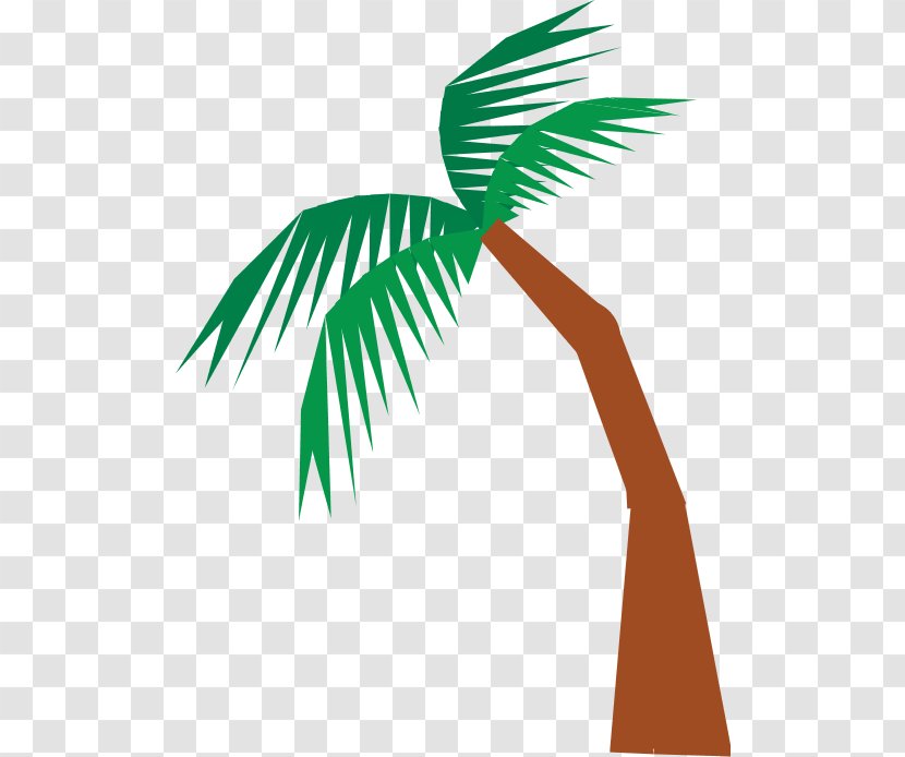 Arecaceae Mermaid Book Child Odyssey - Palm Tree - Looking Up Coconut Trees Transparent PNG