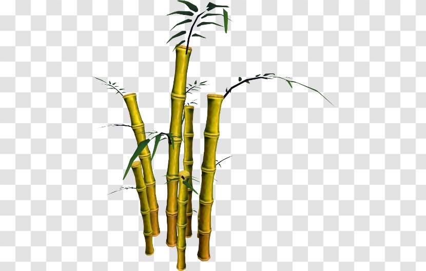 Bamboo Musical Instruments Phyllostachys Aurea RuneScape Plant Stem Transparent PNG