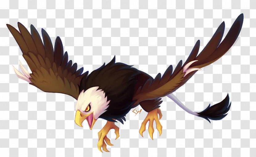 Bald Eagle Wyvern Griffin Transparent PNG