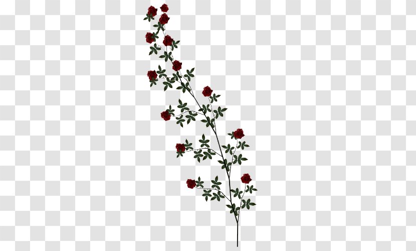 Clip Art - Display Resolution - Rose Vine Clipart Transparent PNG