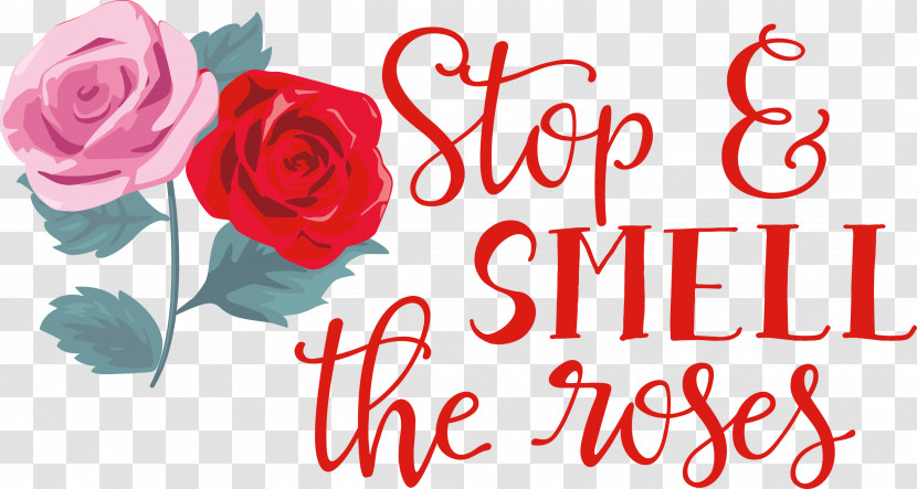 Rose Stop And Smell The Roses Transparent PNG