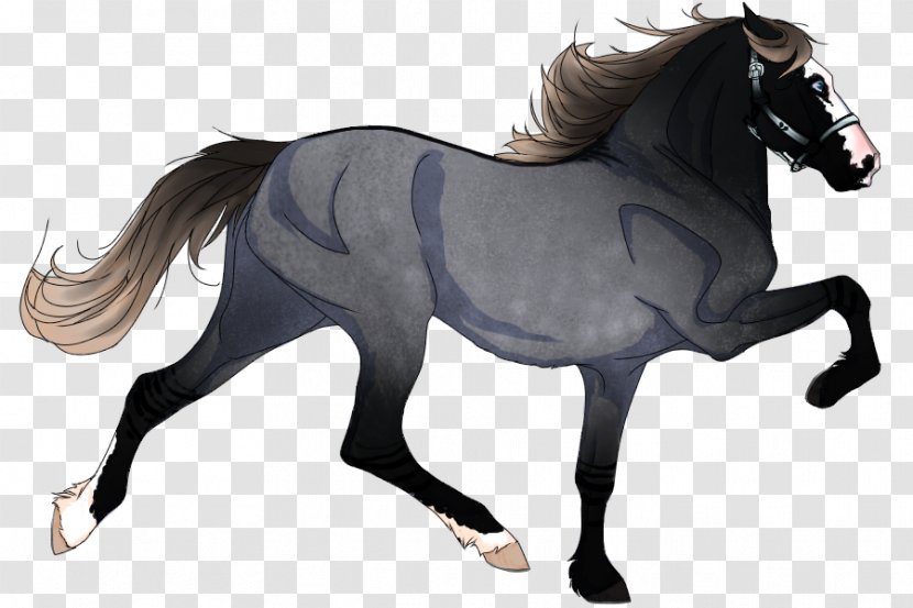 Mustang Mane Pony Mare American Quarter Horse - Mammal - Kenneth Macbeth 2015 Transparent PNG