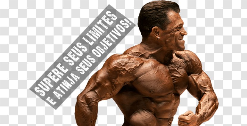 Dietary Supplement The Warrior Diet: Switch On Your Biological Powerhouse For High Energy, Explosive Strength, And A Leaner, Harder Body Bodybuilding Massa Magra Weight Training - Watercolor Transparent PNG