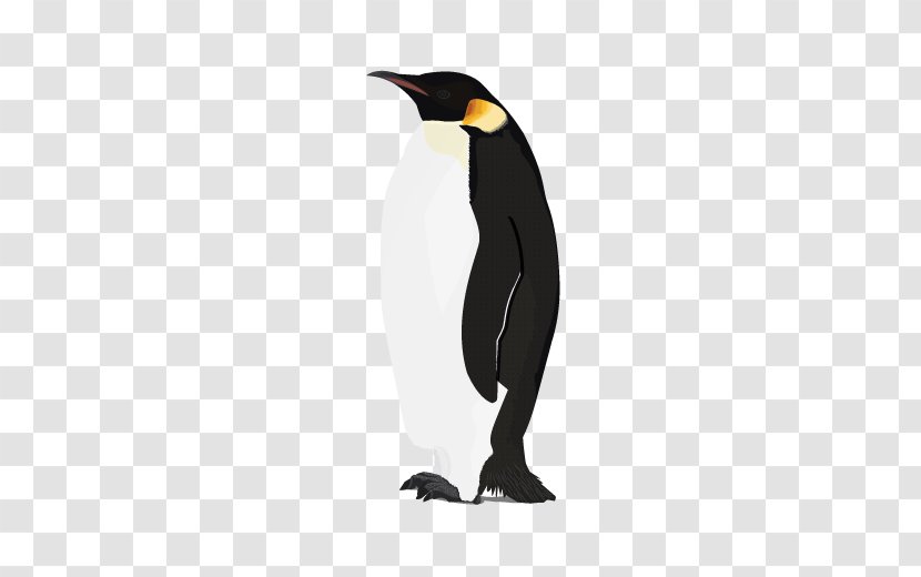 Penguin - Image Transparent PNG