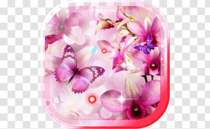 Dendrobium Orchids Moth Flower - Sticker Transparent PNG