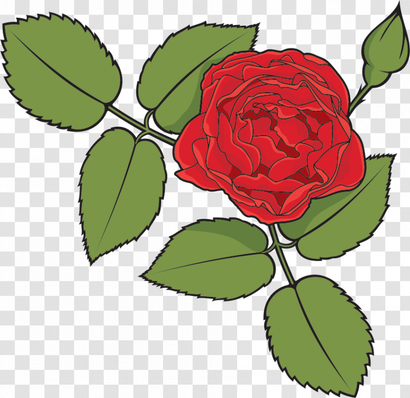 One Flower One Rose Valentines Day Transparent PNG