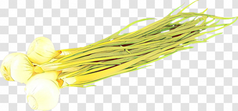 Yellow Vegetable Plant Welsh Onion Food Transparent PNG