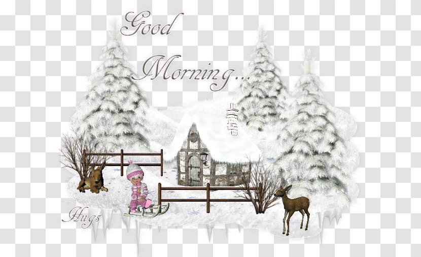 Image Christmas Tree Winter Photograph Morning - Flower - Good Tuesday Transparent PNG