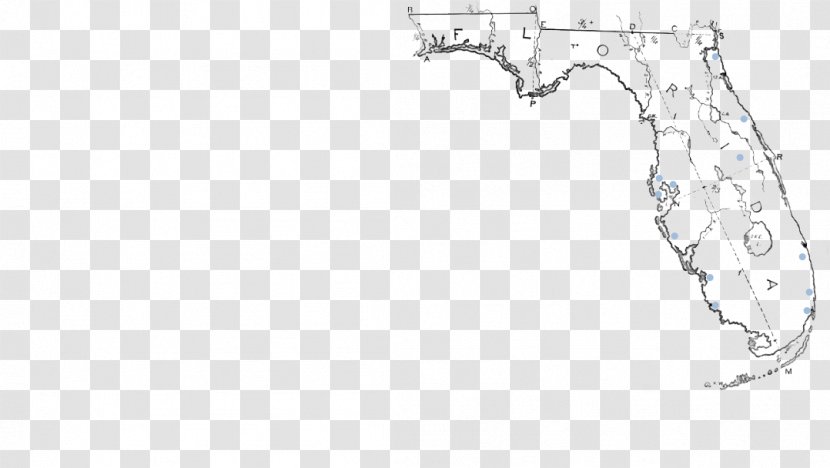Florida Line Art Drawing Point Angle Transparent PNG
