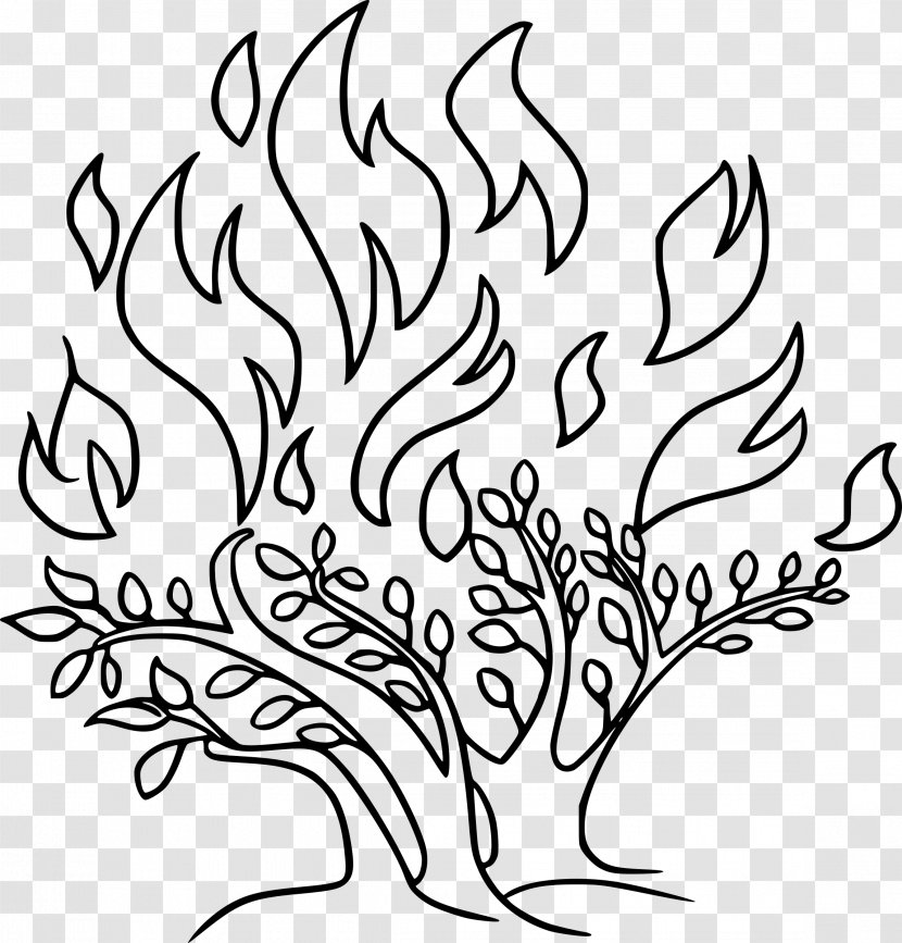 Bible Burning Bush Genesis Clip Art - Organism - Burn Transparent PNG