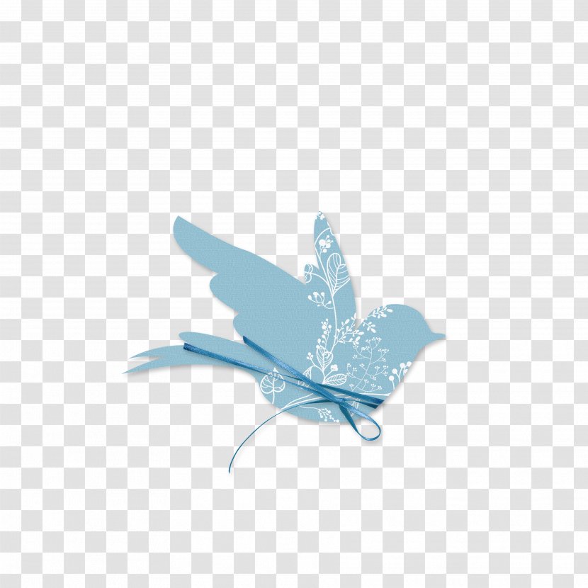 Peristeri Bird Rock Dove Baptism Blue - Greece - Birds Transparent PNG