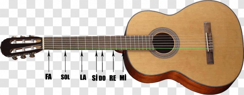 Acoustic Guitar Tiple Cuatro Musical Note - Watercolor Transparent PNG