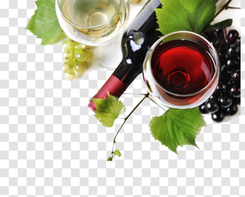 White Wine Italian Cuisine Red Restaurant - List Transparent PNG