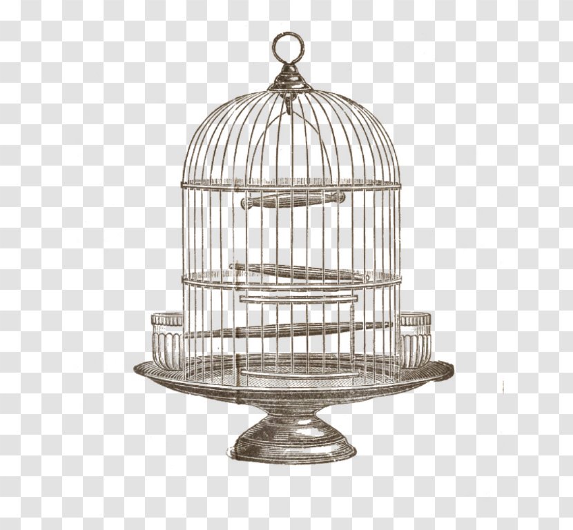 Birdcage Domestic Canary Clip Art - Bird Cage Transparent PNG