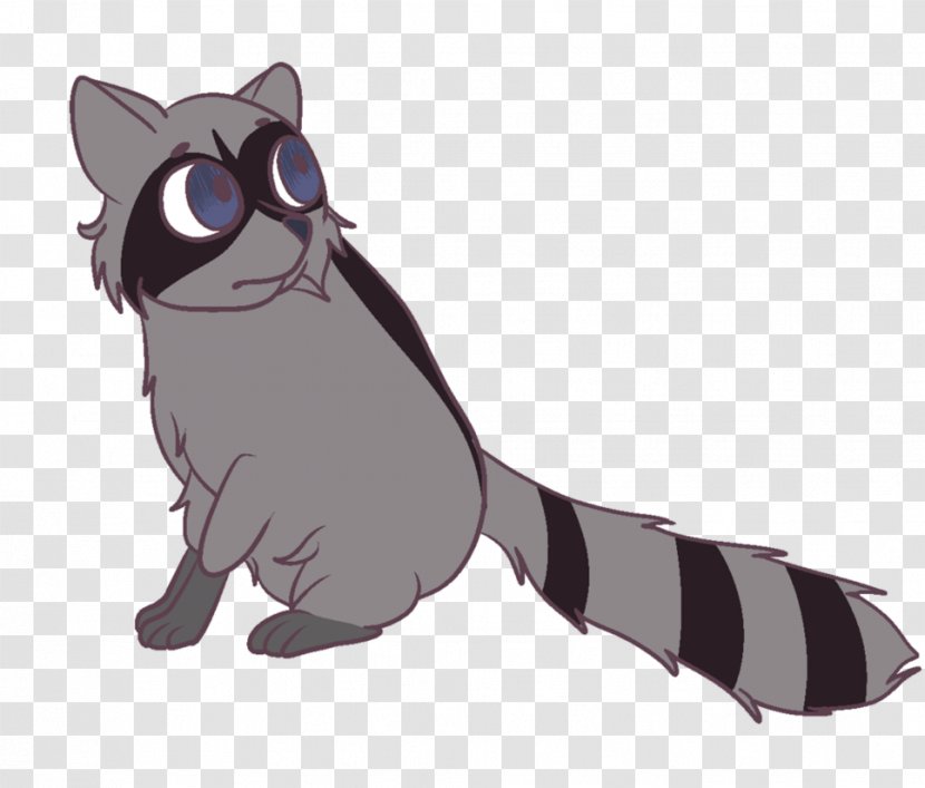 Cat Kitten Dog Mammal Whiskers - Raccoon Transparent PNG