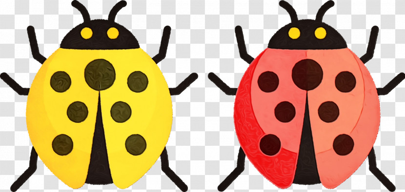 Ladybird Beetle Beetles Yellow Pattern Membrane Transparent PNG