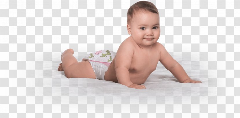 Diaper Infant Tummy Time Family Food - Tree - Diapers Transparent PNG