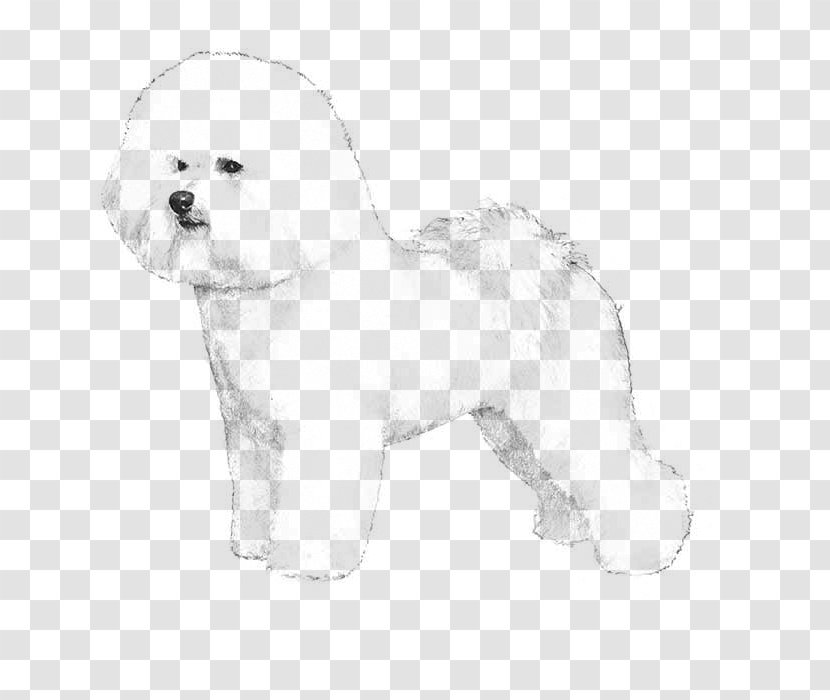 Bichon Frise Chinese Crested Dog Samoyed Papillon Puppy Transparent PNG