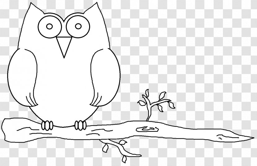 Bird Drawing Owl - Watercolor - Owls Transparent PNG