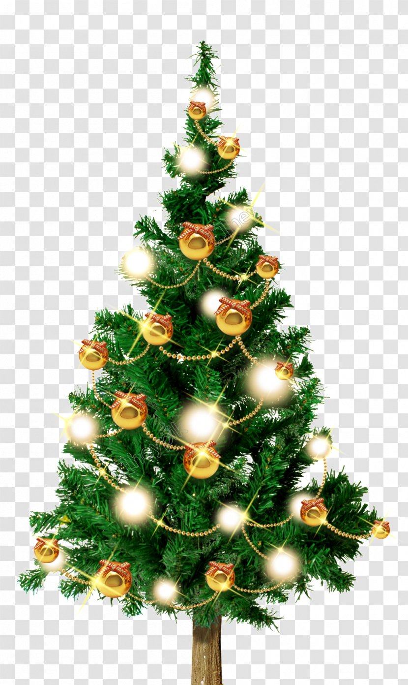 Christmas Tree Fir Santa Claus Day Ornament Transparent PNG