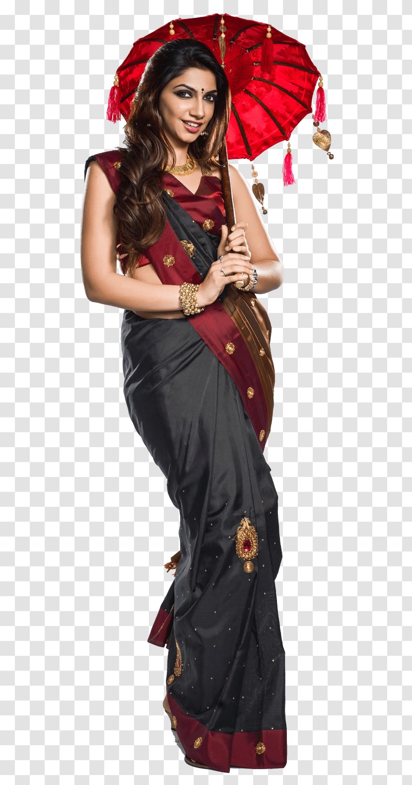 Viba Sari Clothing Fashion Dress - Costume Transparent PNG