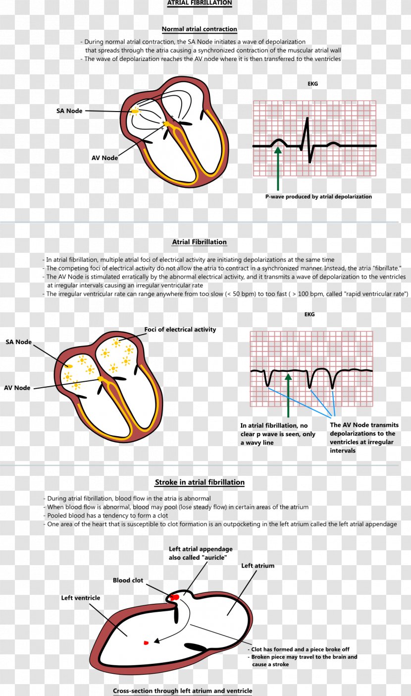 Paper Line Angle - Frame - Irregular Composition Of The Heart Transparent PNG