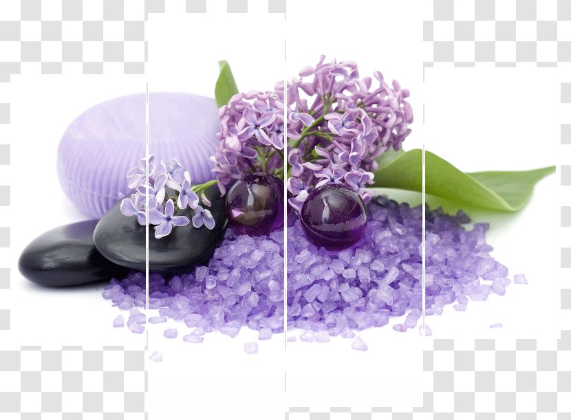 Estetica E Benessere Raffy Bath Salts Photography - Lilac - Flower Transparent PNG