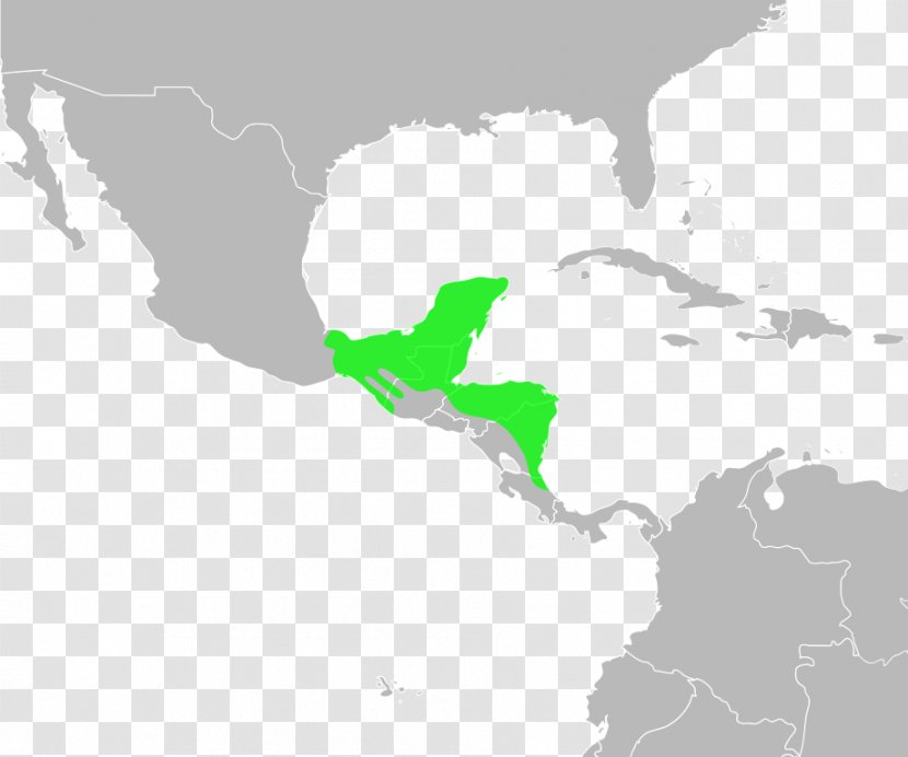 Gulf Coast Toad Incilius Marmoreus Luetkenii - Map - International Media Distribution Transparent PNG
