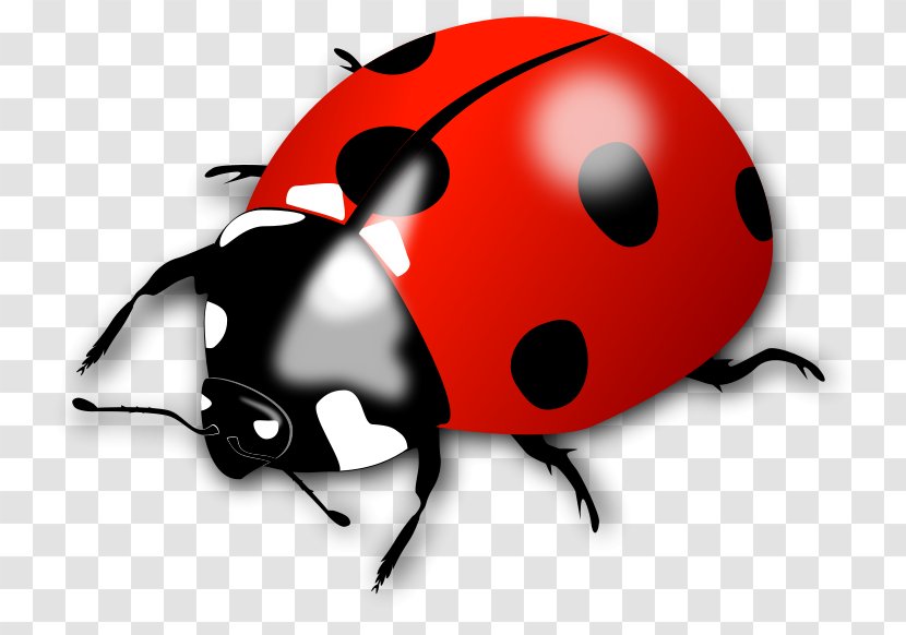 Ladybird Clip Art - Lady Bird - Cliparts Transparent PNG