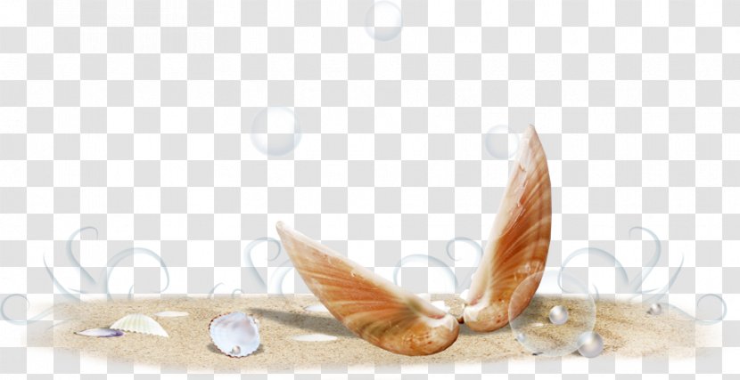 Sand Sea Clip Art - Tail - Conch Transparent PNG