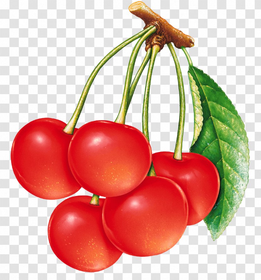 Sour Cherry Sweet - Red Image Download Transparent PNG