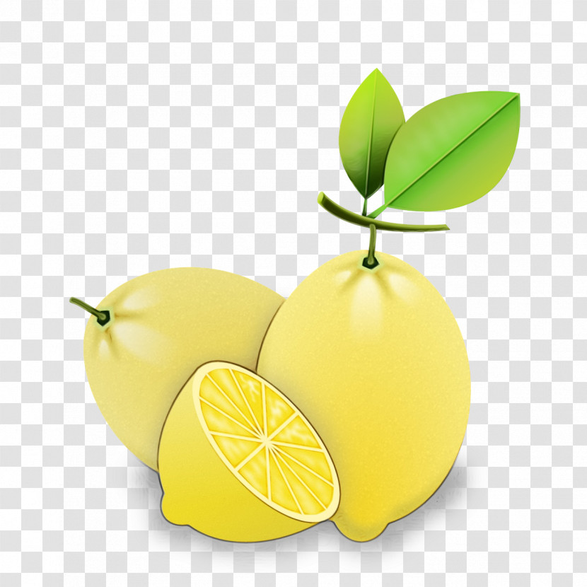 Lemon Key Lime Citron Persian Lime Lime Transparent PNG
