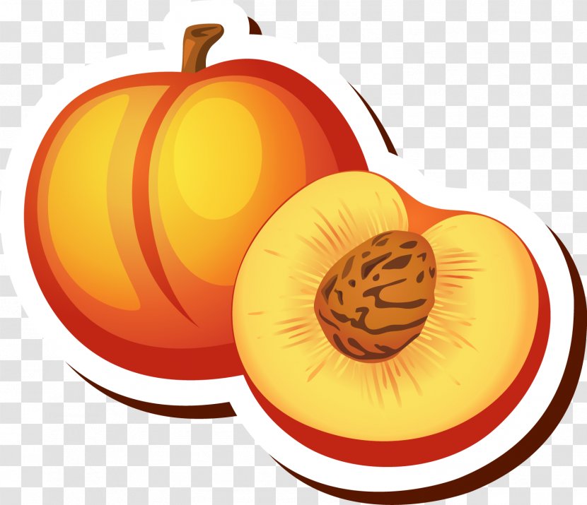 Peach Cartoon Drawing Clip Art - Food - Vector 1 Transparent PNG