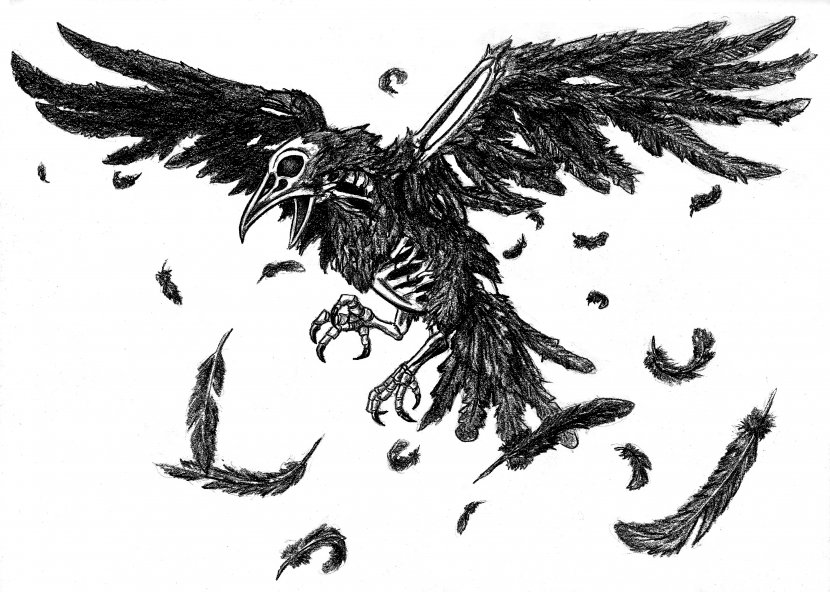 The Raven DeviantArt Drawing Artist - Concept Art - Crow Transparent PNG