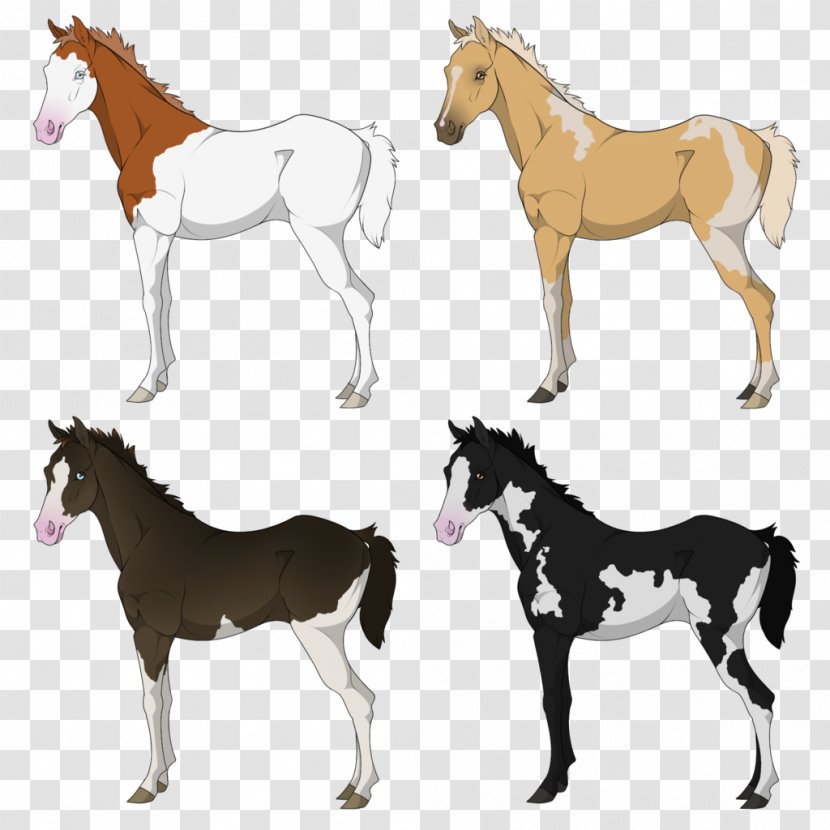 Mustang Foal Colt Stallion Donkey - Rein - Chestnut Thoroughbred Transparent PNG