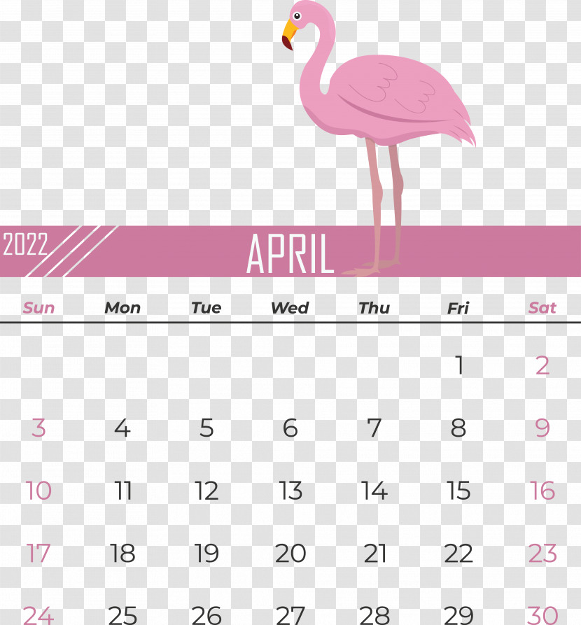 Flamingo Transparent PNG