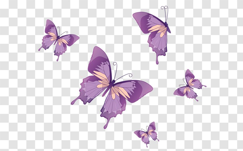 Monarch Butterfly Clip Art - Pollinator - Watercolor Transparent PNG