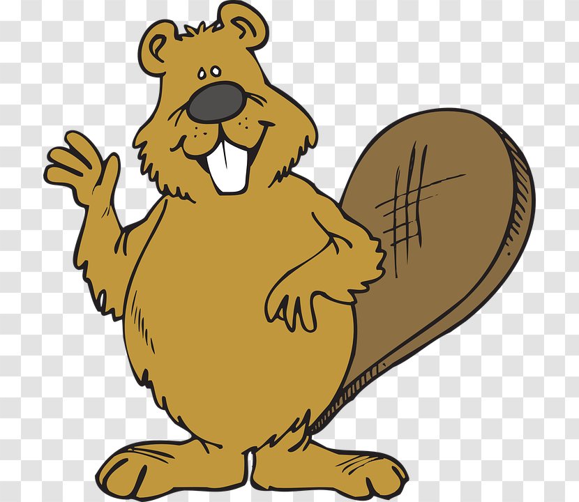 Beaver Drawing Clip Art Transparent PNG