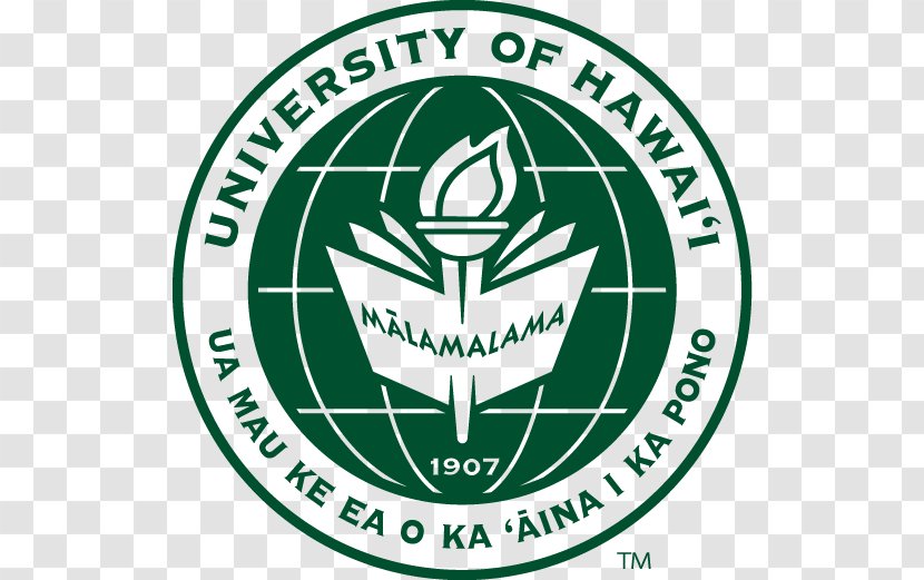 University Of Hawaii Organization College Rainbow Warriors Football - Green - Ball Transparent PNG