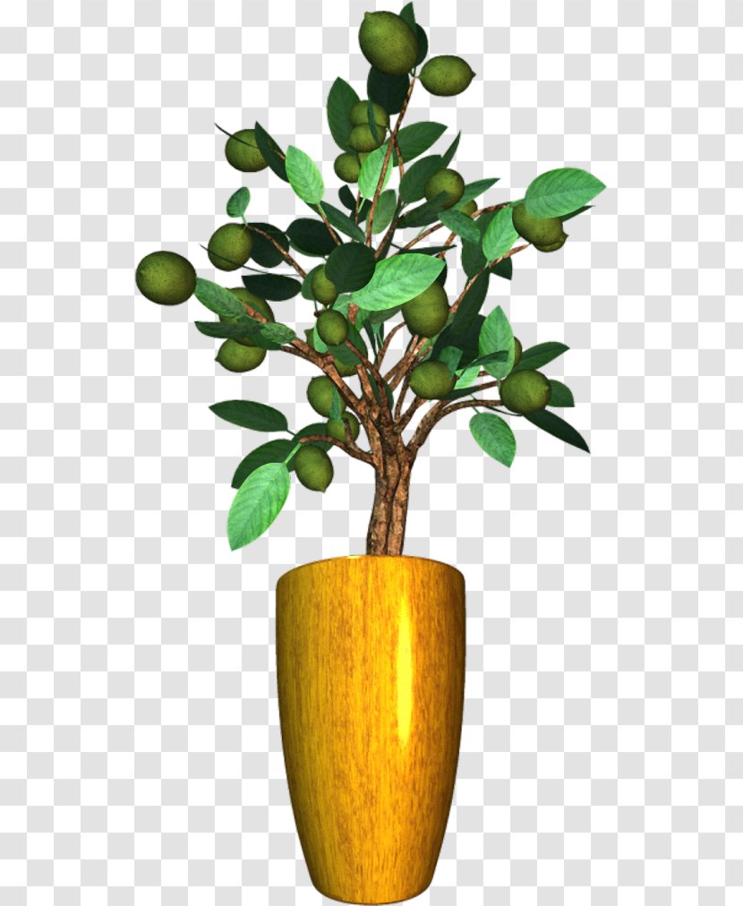 Flowerpot Houseplant Arecaceae Chamaedorea Elegans - Plant Stem - Flower Transparent PNG