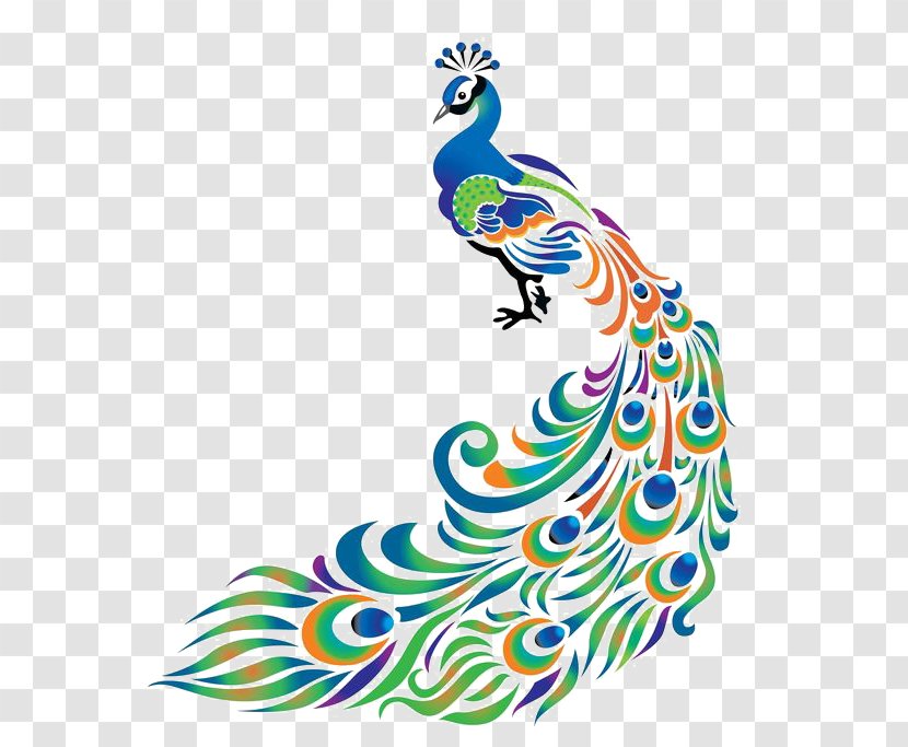 Peafowl Clip Art - Beak - Peacock Transparent PNG