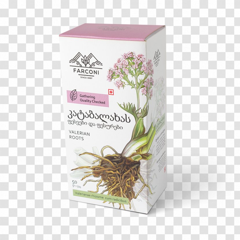 Herb Georgia სამკურნალო მცენარეები Flower Berry - Iso 22000 - Dishware Transparent PNG