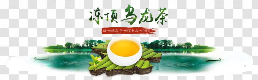 Tea Elsa Oolong Food - Text - Frozen Green Transparent PNG