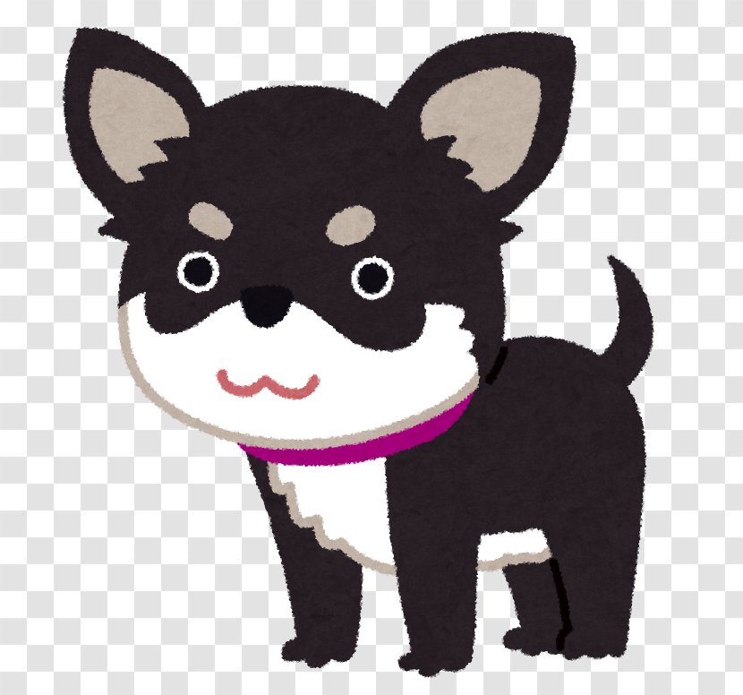 Chihuahua Poodle Shiba Inu Dog Breed Transparent PNG